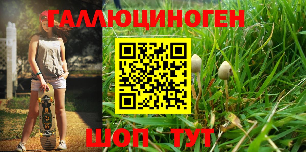 Псилоцибиновые грибы мицелий  Галлюциногенные грибы Psilocybine cubensis  Протвино  магазин    Вход с VPN 