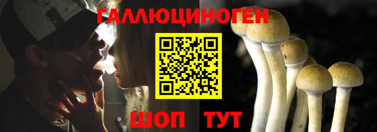 Галлюциногенные грибы GOLDEN TEACHER Протвино